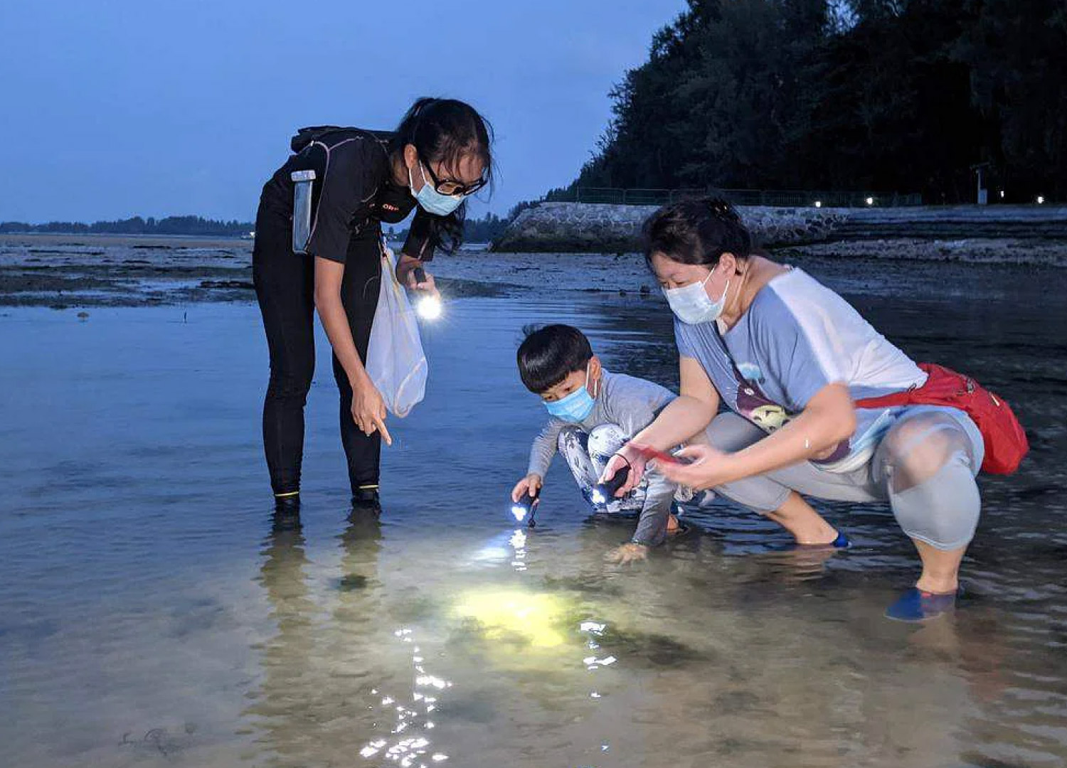 Ms Kong Man Jing (left) has been leading intertidal walks for kids and adults. PHOTO: JUST KEEP THINKING