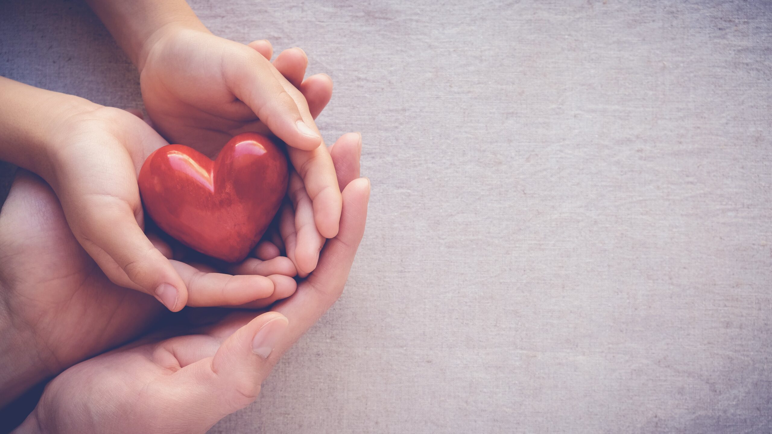 Adult Child Hands Holding Red Heart