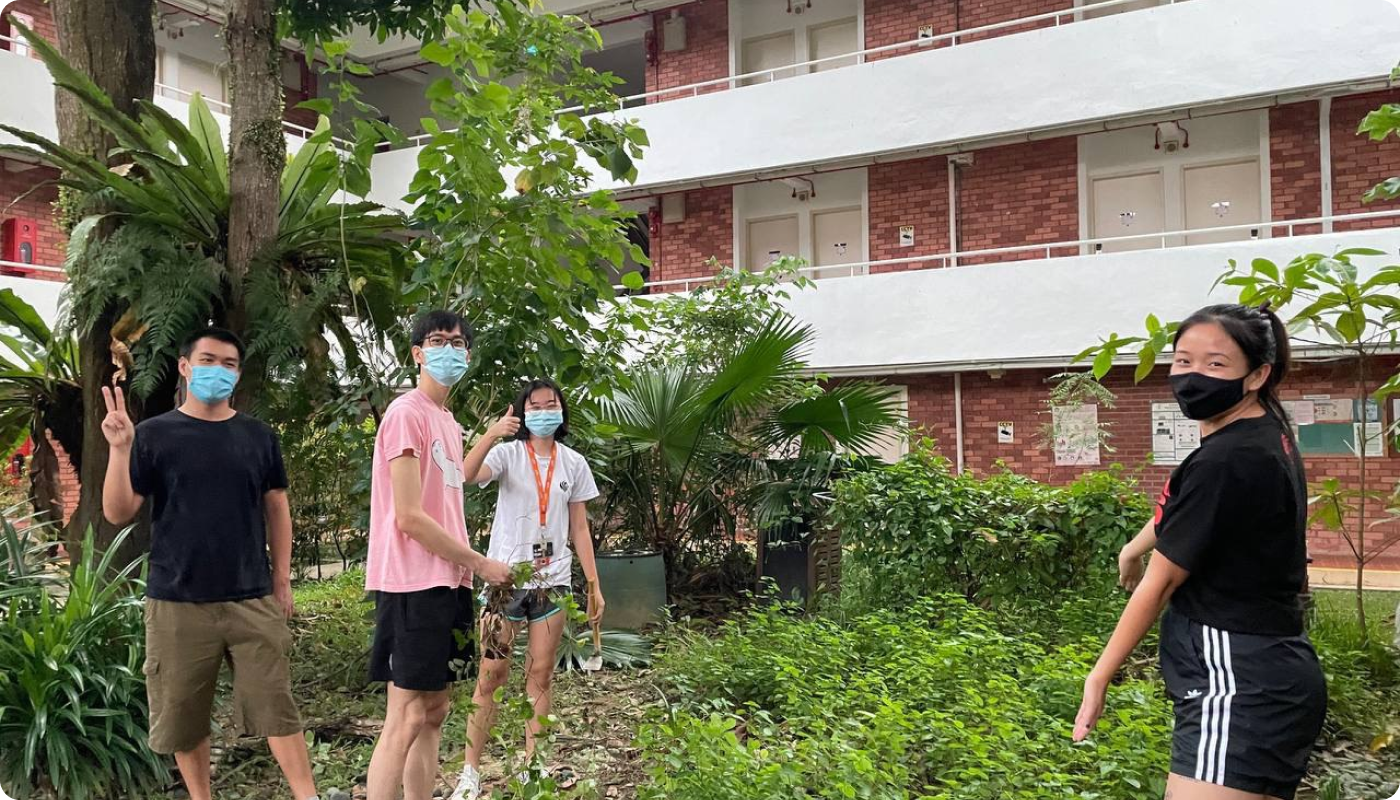 Aristia (first from right) with her fellow Green Rangers team mates at the RVRC gardening plot during the COVID period.