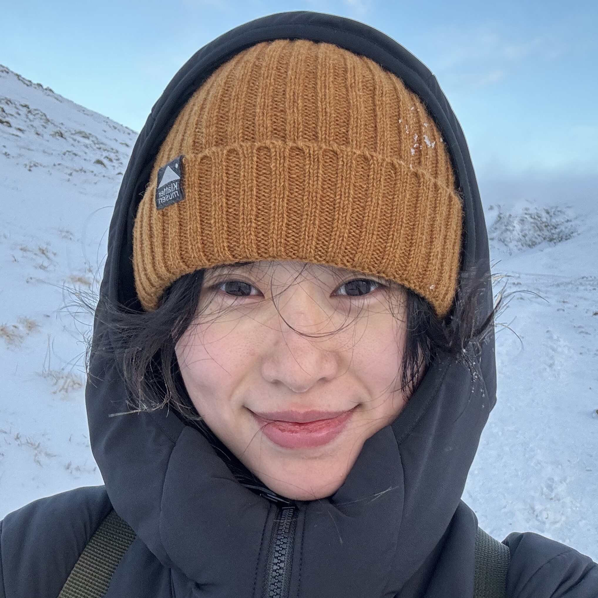 Cropped Liu Yihan