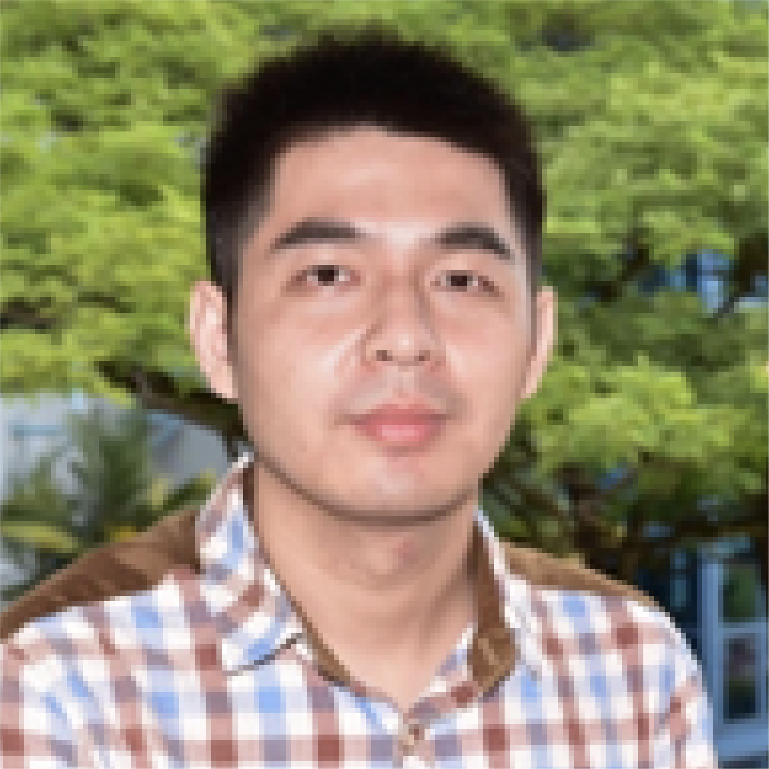 Wang Fei Wang Fei